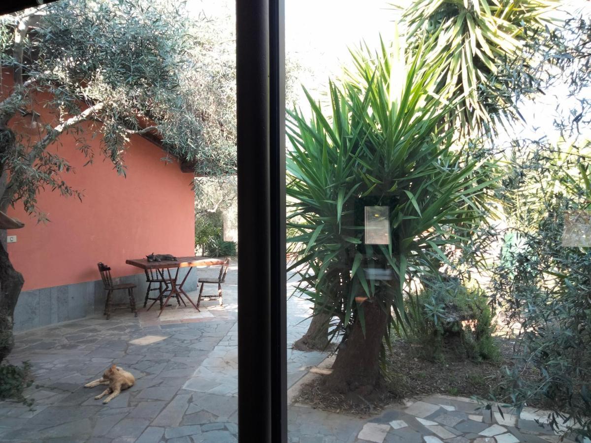 Cuntarati Nature Tourism - Simeto Etna Bronte Exterior photo