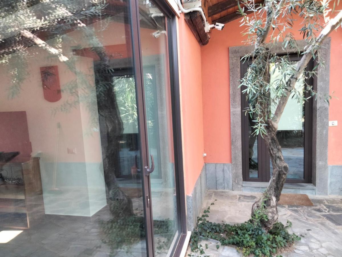 Cuntarati Nature Tourism - Simeto Etna Bronte Exterior photo
