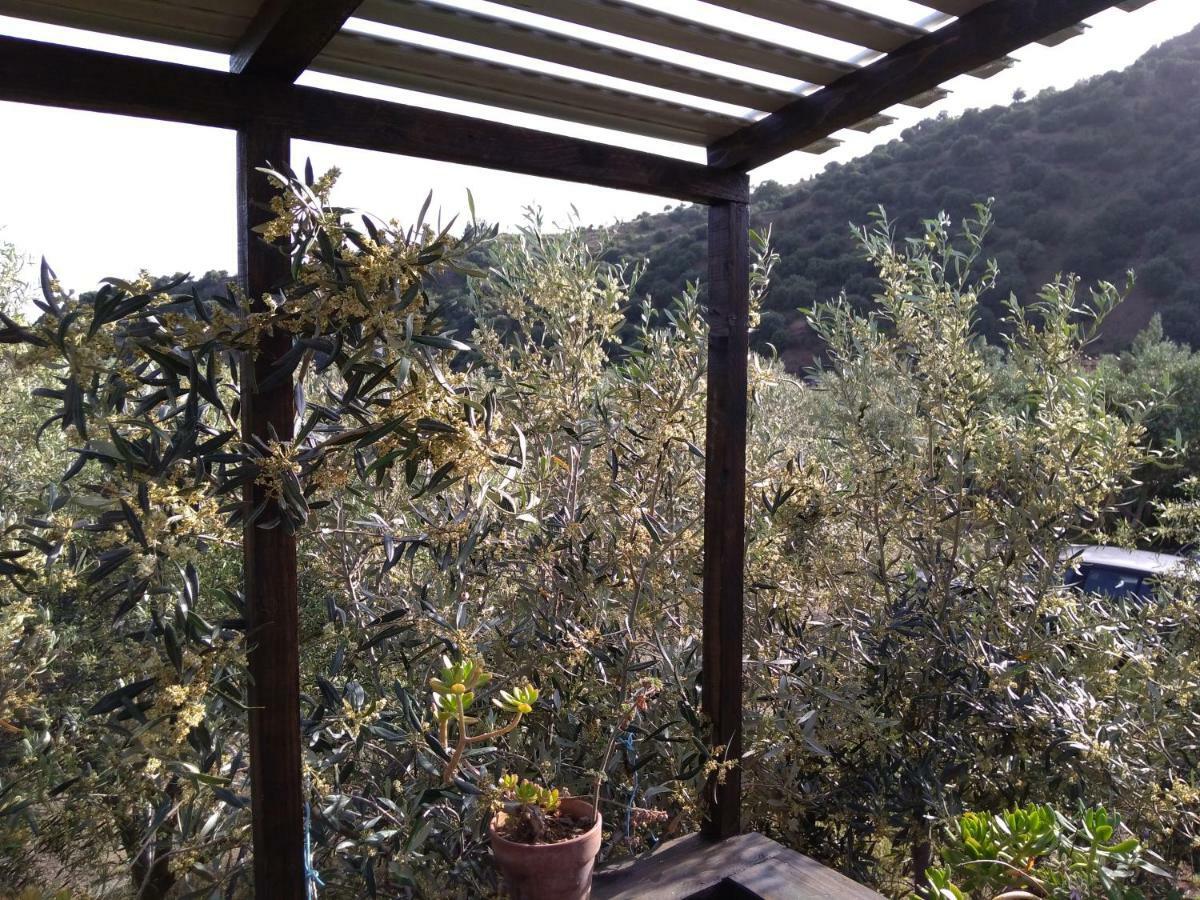 Cuntarati Nature Tourism - Simeto Etna Bronte Exterior photo
